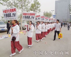 2013�������ݷ����p����(hu��)��ͦ��С���