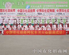 ��ʮ��÷��ϕ�(hu��)�x�͑�(zh��n)��(j��)�Ǹ����ķe��