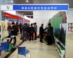 �οh������ľ�օ�����2014�ʝ��r(n��ng)����