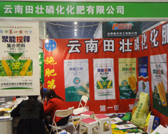 ��������׻����Єӵ�11�����ݷ��ϕ�