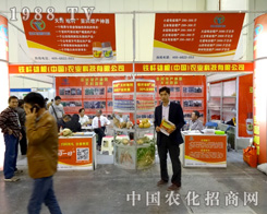 �F�U�۸��Ԛ���u2015�����r(n��ng)ˎ��