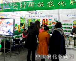 �|ꖿ�����2015�����I�N�ӕ��ς�����A��