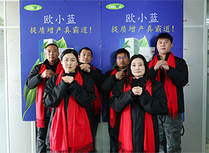 【歐道麥】祝大家2026年馬年大吉、幸福安康！