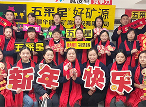 【華能中礦】祝全國人民財(cái)運(yùn)亨通，事業(yè)紅火！