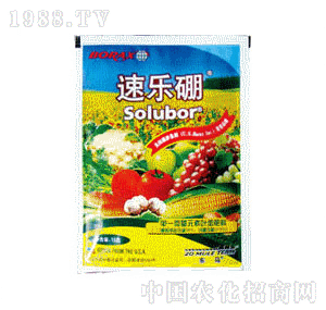 ����-�٘�(l��)��