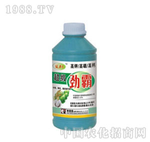 �W��ɭ-����(j��)�Ű�