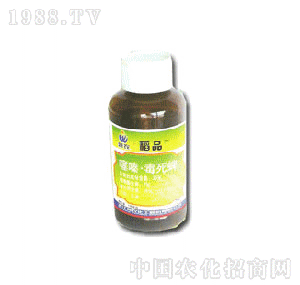 ���r��ຶ�����