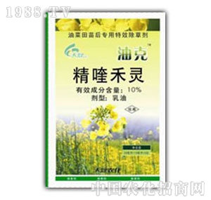 ���u�S��-�Ϳ�