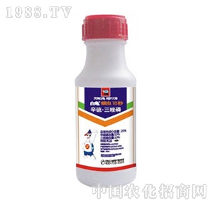 ����-���x18��