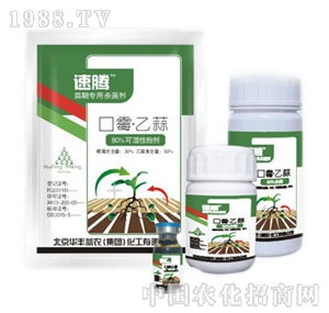 �A�S���r(n��ng)-���v