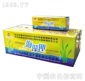 �Č�-�����