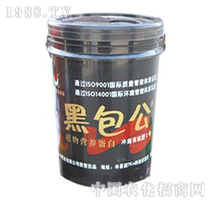 �Č�-�ڰ���