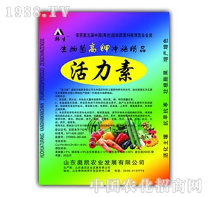 �W�P-������