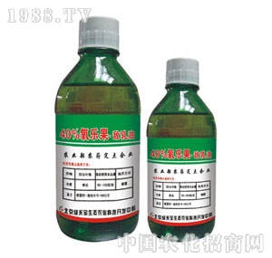 ���G�̌�-40%����(l��)����