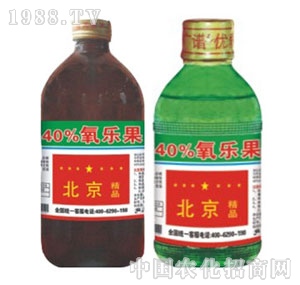 ���G�̌�-40%������