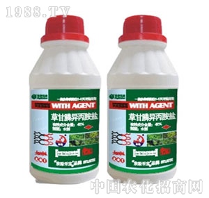 ���G�̌�-41%�ݸ��ˮ��