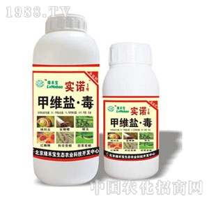 ���G�̌�-��(sh��)�Z1̖(h��o)