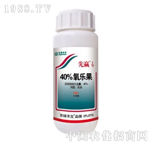 ���G�̌�-���A1̖(h��o)