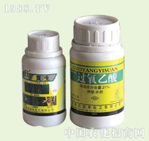 �̴T�S-��(f��)���پ���