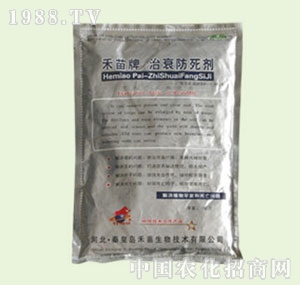 �̴T�S-��˥������