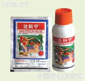 �̴T�S-�_�ƌ�