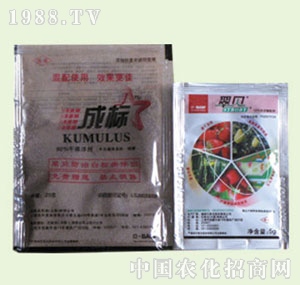 �̴T�S-��ؐ+�ɘ�