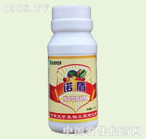 �̴T�S-�Z��