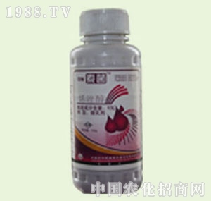 �̴T�S-����