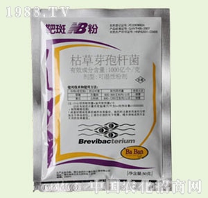 �̴T�S-�а�NB��