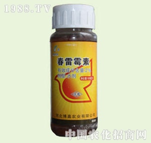 �̴T�S-����ù��