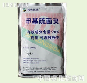 �̴T�S-�׻�����`