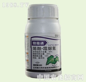 �̴T�S-��˪��