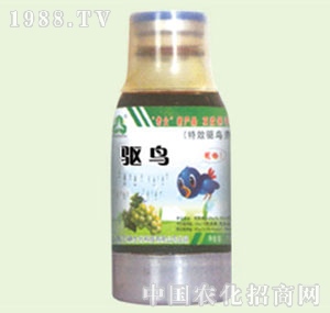 �̴T�S-�(q��)�B