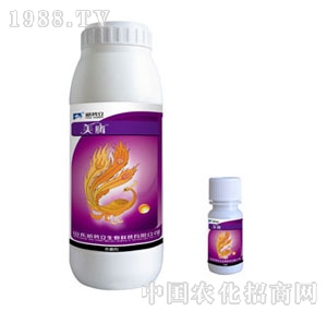 ��(sh��)��-���v