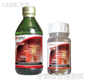 ��(sh��)��-�@���x(ch��ng)�^