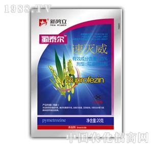 ��(sh��)��-ʭ̩��