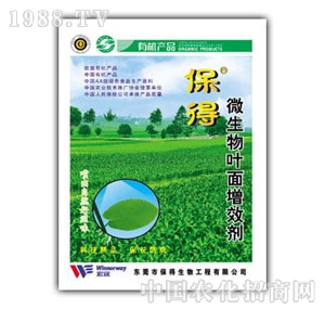 �~����Ч��