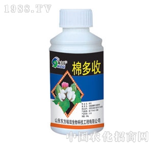 ��ԣ����-�޶���