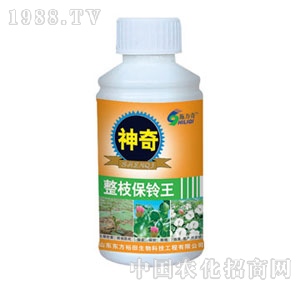 ��ԣ����-������֦���?f��)? style=