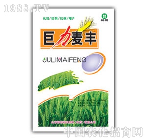 ��ԣ����-�������S