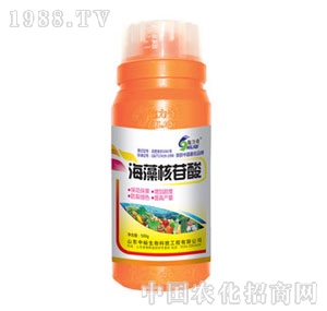 ��ԣ����-���������