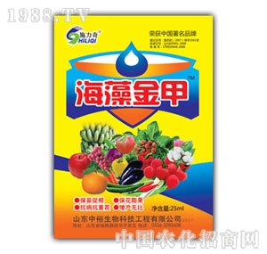 ��ԣ����-������