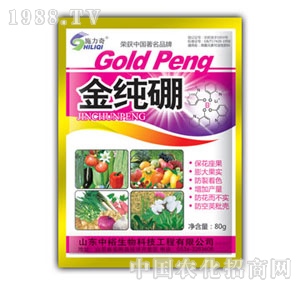 ��ԣ����-����