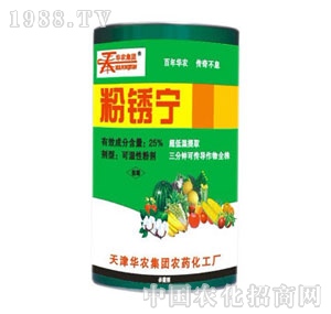 �A�r-25%���P��