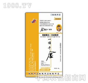 Ԋ���A6+1��һ�Zǧ��