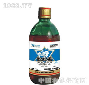 �Ͼ�һ��-����η