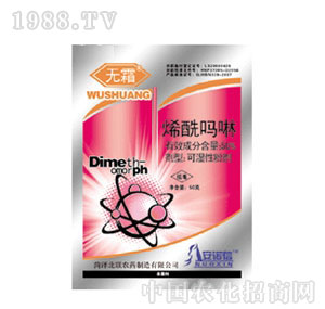 �o˪ϩ������