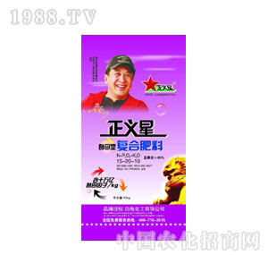 ��������-��ĸ�͏�(f��)�Ϸ�