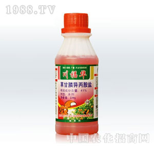 ���Aͨ�_(d��)-�ݸ�좮������}