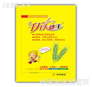 �������-ǧ�������